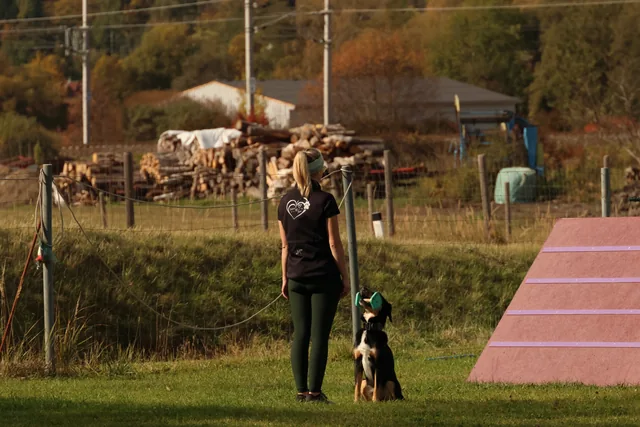 Hund mit Apportierholz neben seiner Begleitung