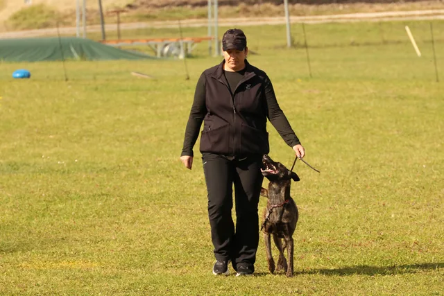 Mensch und Hund beim gemeinsamen Training auf dem Hundeplatz