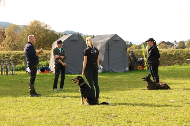 Gemeinsame Trainingsbesprechung mit Mensch-Hund-Teams