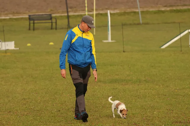 Mensch und kleiner Hund gehen gemeinsam über die Wiese