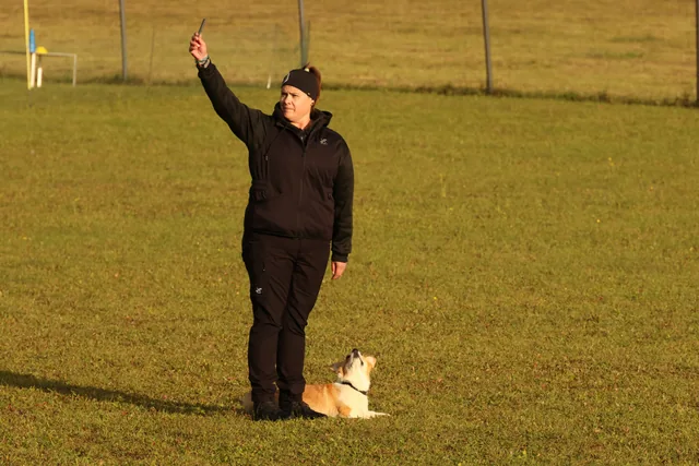 Mensch und Hund üben mit Blickkontakt am Hundeplatz